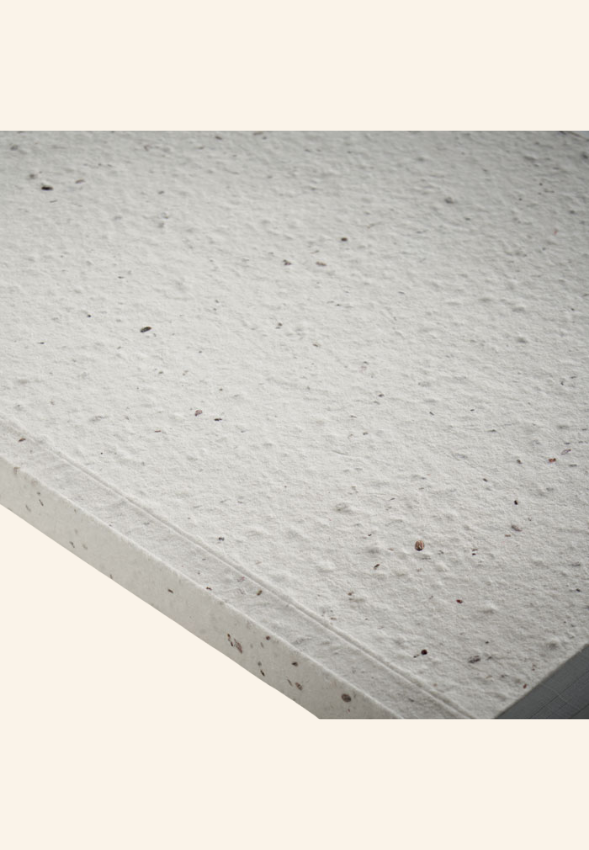 Carnet A5 200 pages en papier semence Théodore