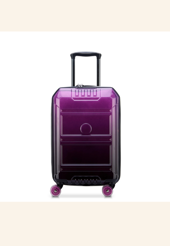 Valise Delsey soute extensible L (73cm) Oswen