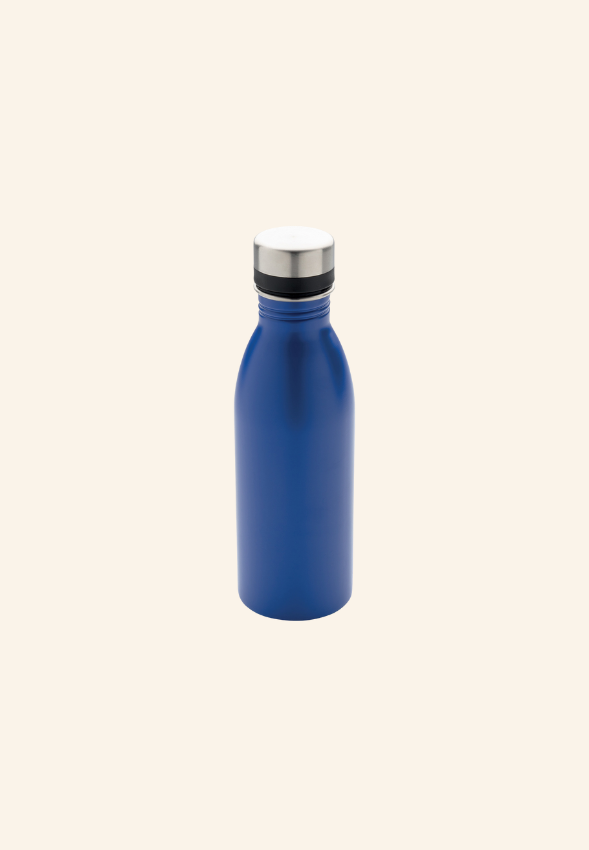 Bouteille 500 ml en acier inoxydable EcoSteel 500