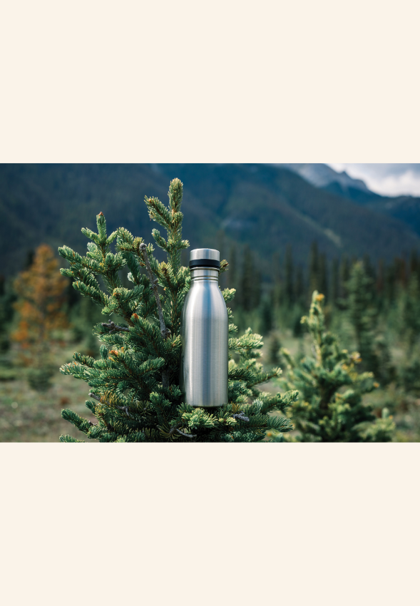 Bouteille 500 ml en acier inoxydable EcoSteel 500