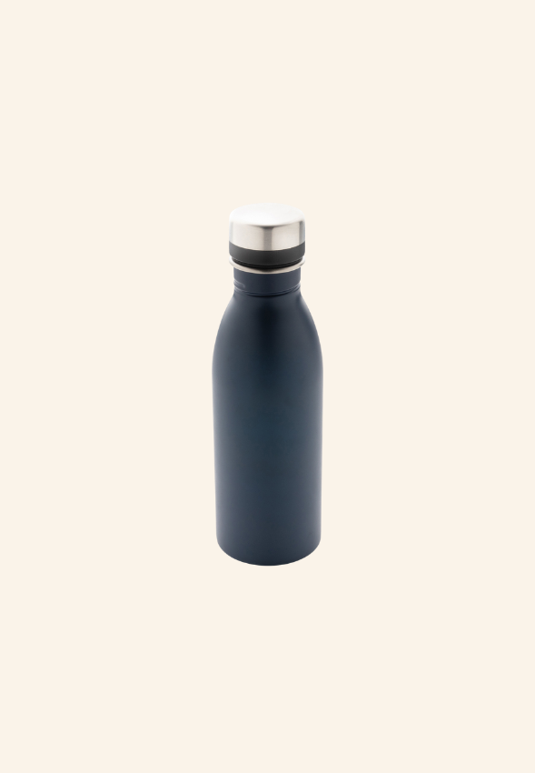 Bouteille 500 ml en acier inoxydable EcoSteel 500