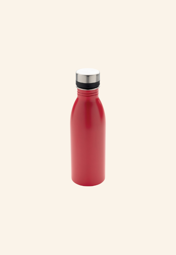 Bouteille 500 ml en acier inoxydable EcoSteel 500