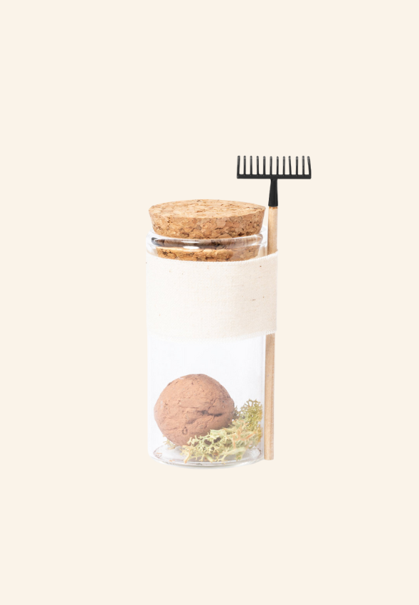 Bonbon Graines Theolane