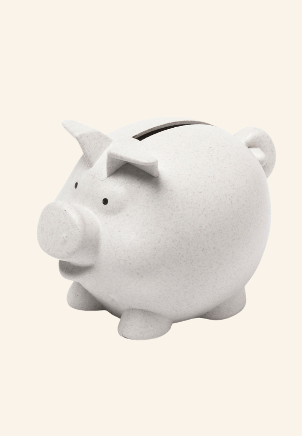 Tirelire Cochonnou