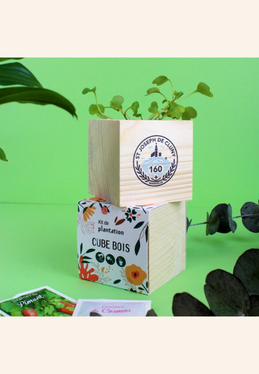 Cube bois Graines Hamel