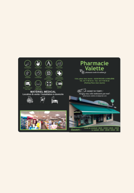 LE GARDE ORDONNANCE SYLVESTRE