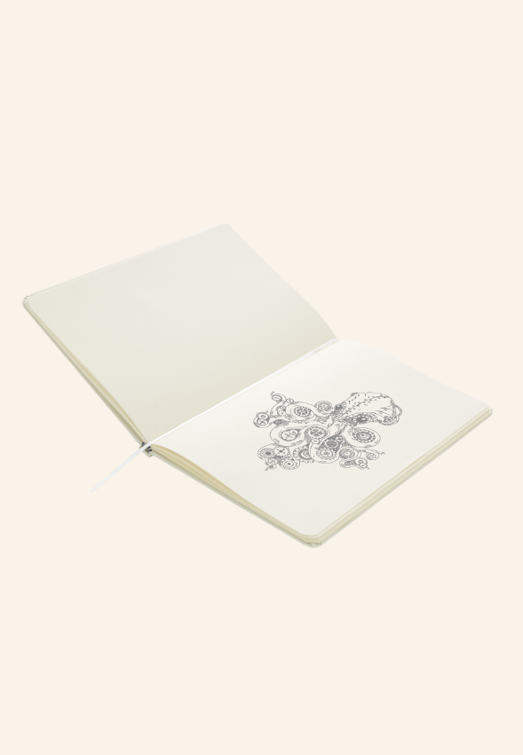 Box cadeaux Student Pack