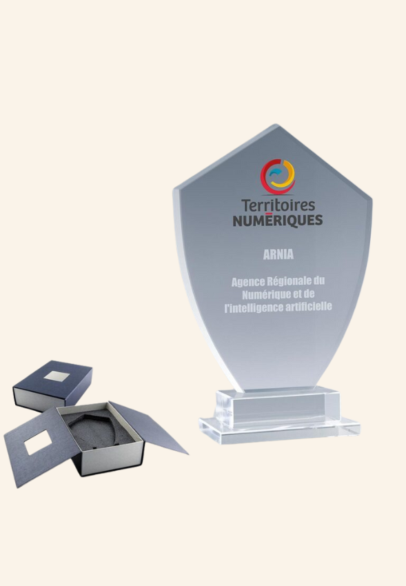 Trophée Emblème Noélan