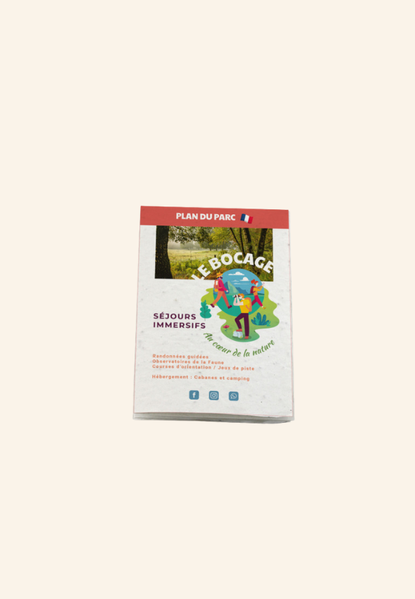 Plan touristique papier graines EMILY