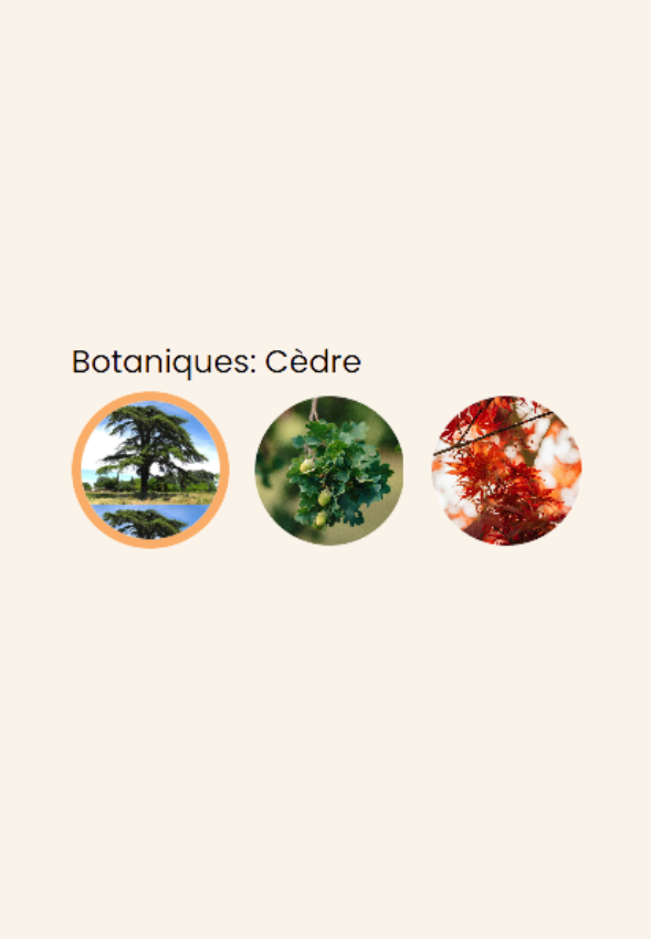 Carte bois A6 Essence