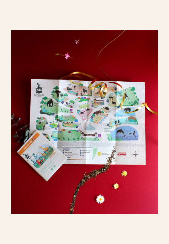 Plan touristique papier graines EMILY