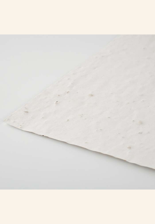Papier à semer A6 Noélis