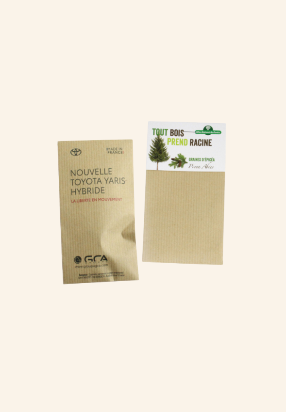 Sachet kraft Graines exotiques Solena