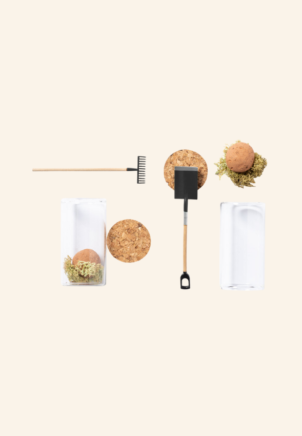 Bonbon de graines en bocal Theolane