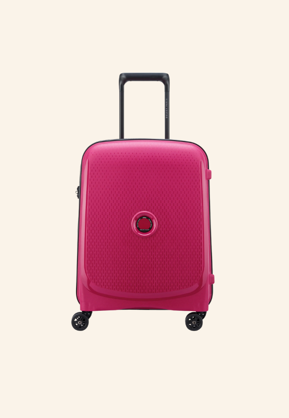 Valise DELSEY Soute (76cm) Darian