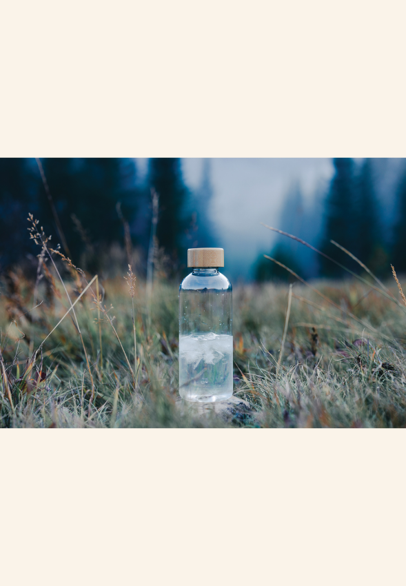 Bouteille 600ml couvercle en bambou EcoBottle