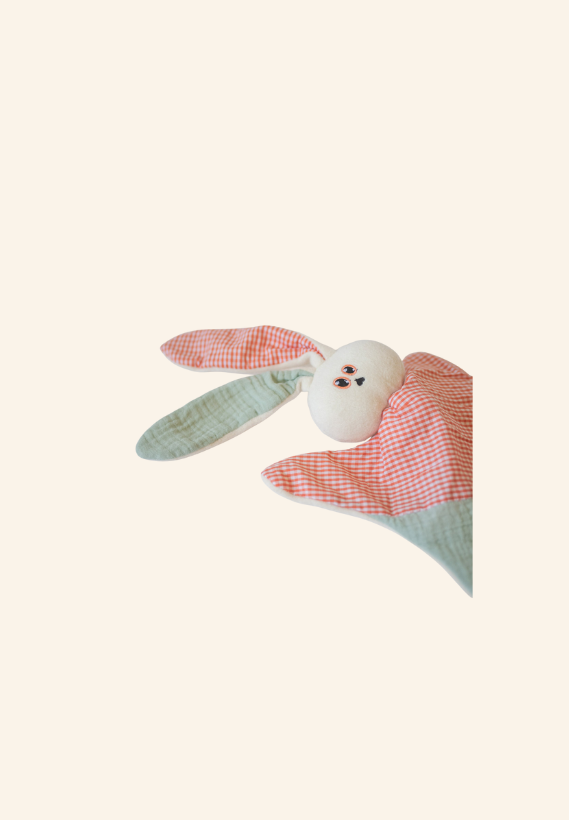 DOUDOU BEBE GUS