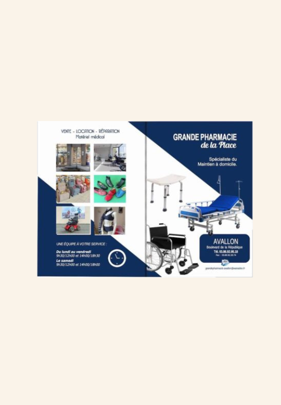 LE GARDE ORDONNANCE SYLVESTRE
