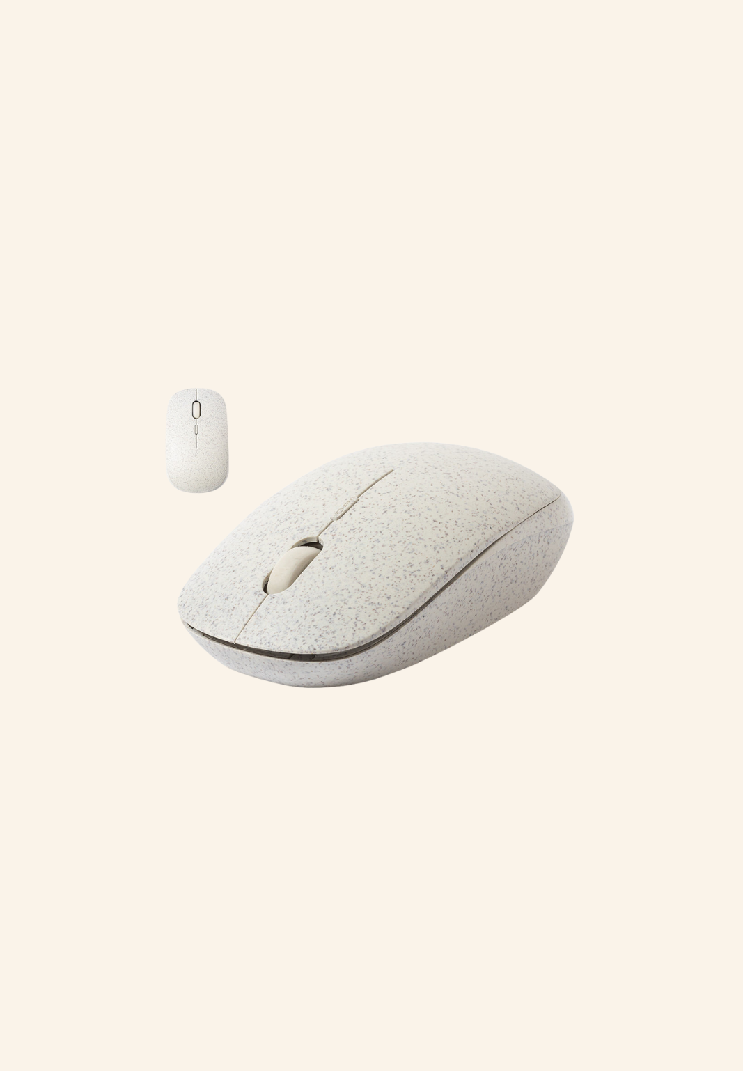 Souris Léale