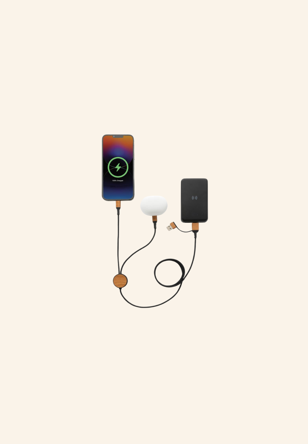 Câble USB 120 cm 6-en-1 Evan