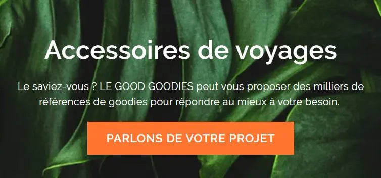 Accessoires de voyages