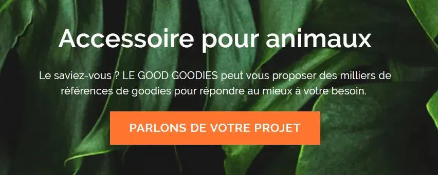 Accessoires pour animaux