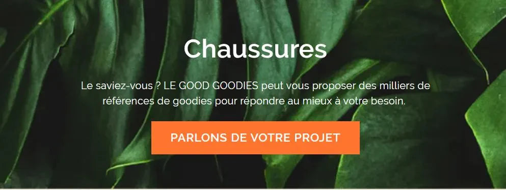 objets personnalisables entreprises - chaussures 