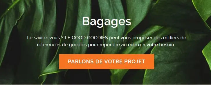 goodies bagages pour entreprise 