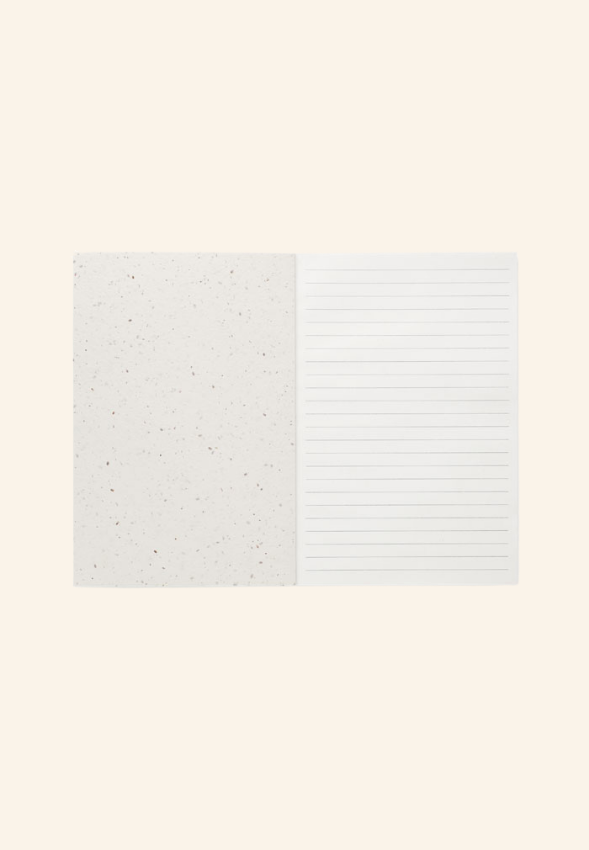 Carnet A5 200 pages en papier semence Théodore