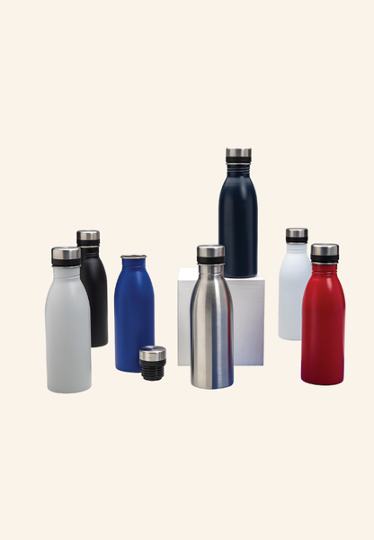 Bouteille 500 ml en acier inoxydable EcoSteel 500