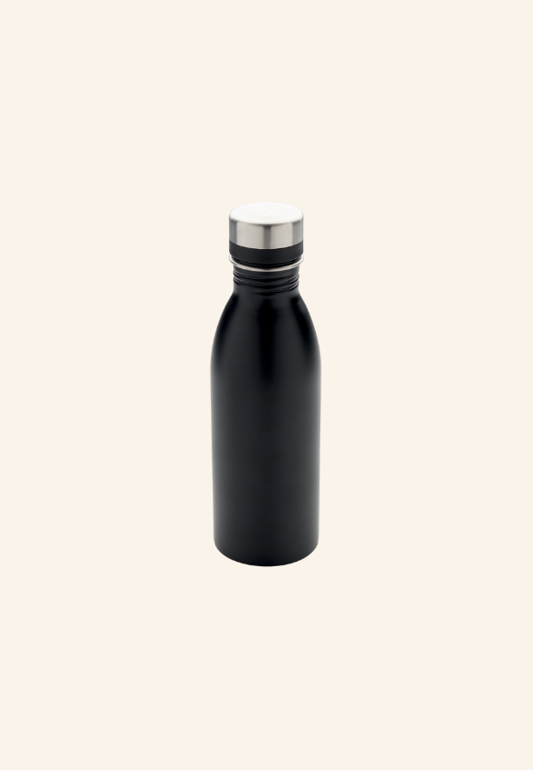 Bouteille 500 ml en acier inoxydable EcoSteel 500