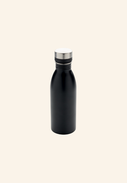 Bouteille 500 ml en acier inoxydable EcoSteel 500