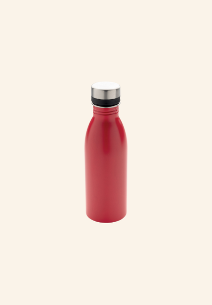 Bouteille 500 ml en acier inoxydable EcoSteel 500