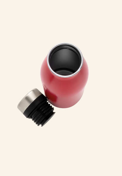 Bouteille 500 ml en acier inoxydable EcoSteel 500