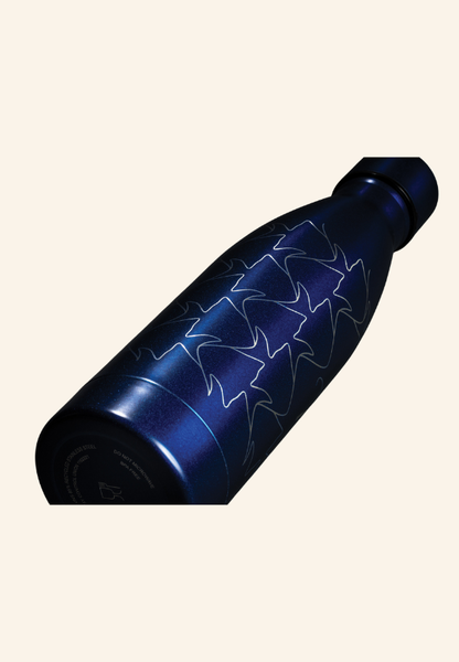 Bouteille 500 ml isotherme Ecosteel Thermo 500