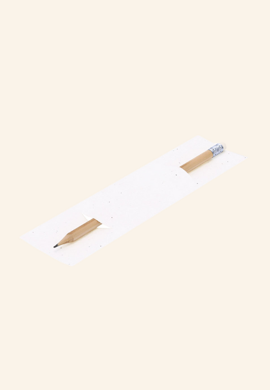 crayon dans un étui en papier avec graine Lorvane