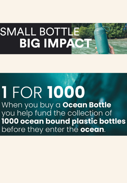 Flacon à infusion Ocean Bottle de 350 ml