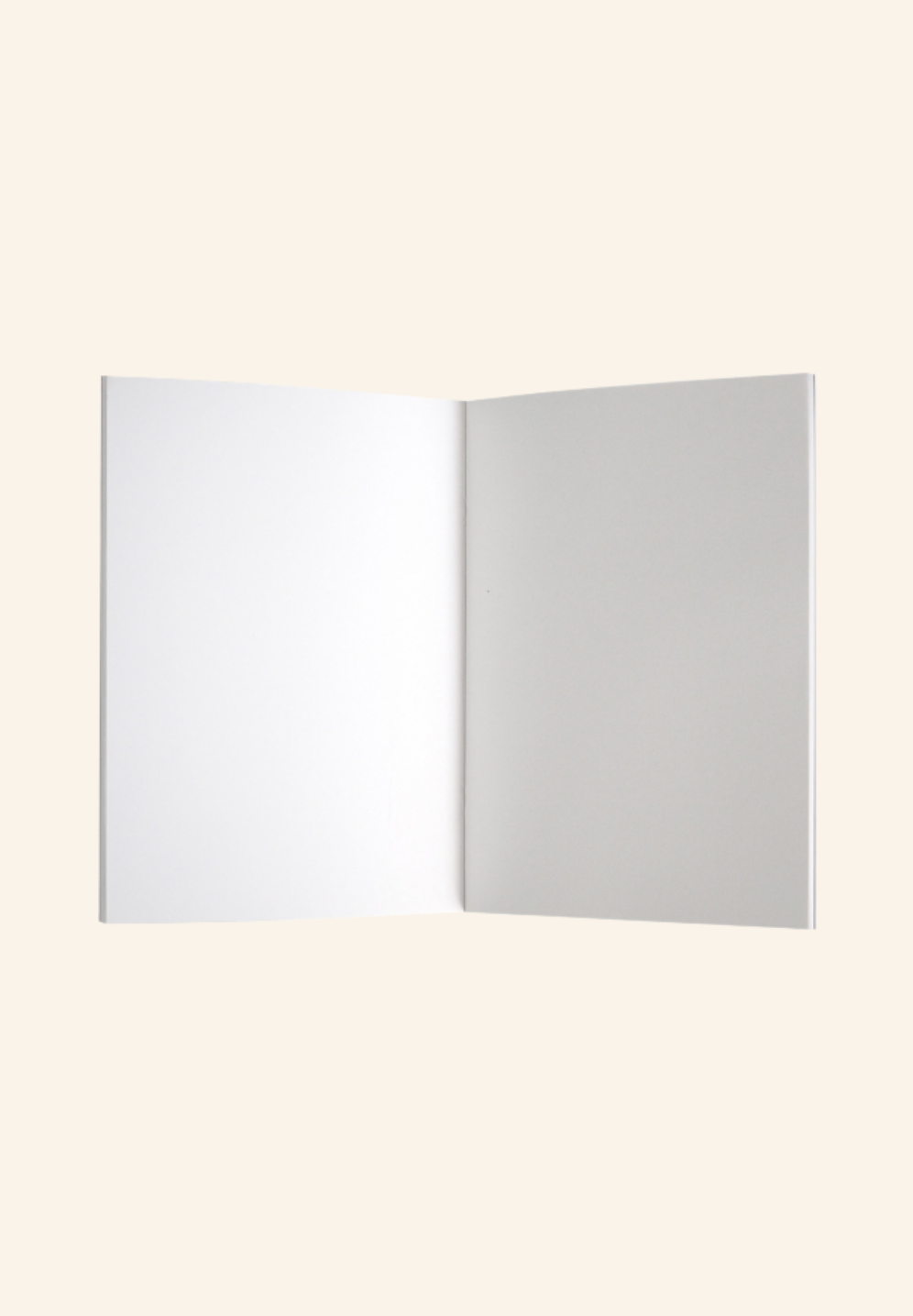 Carnet de notes slim A5 NOTITIA