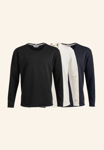 Sweat coton bio 310 g THEO
