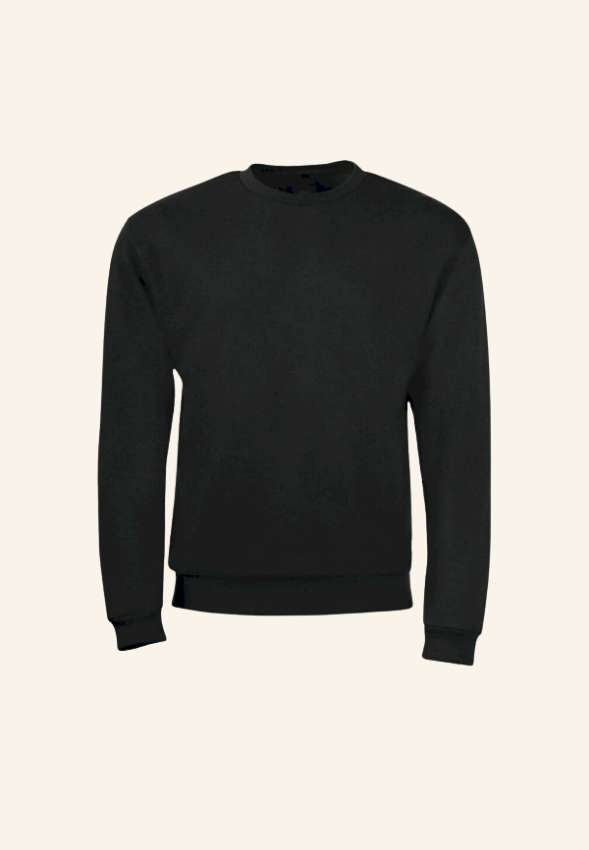 Sweat en molleton unisexe 290g Florentien