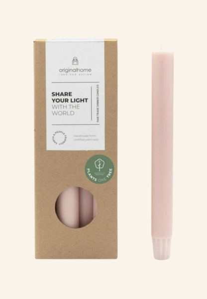 Set de 10 bougies de table en cire de palmiste Élérine