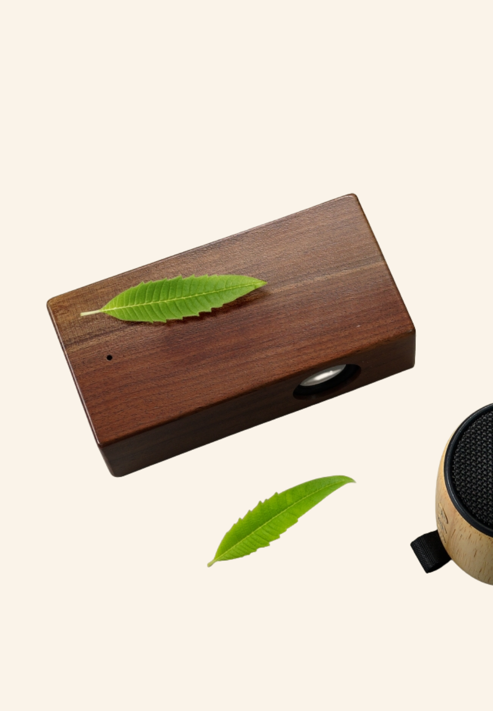 Enceinte interactive en bois Marilys