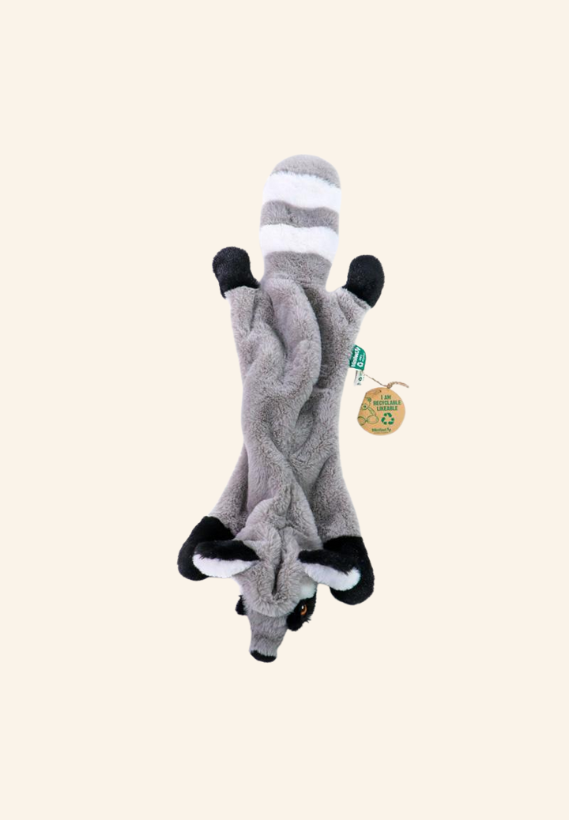 Peluche raton laveur pour chien