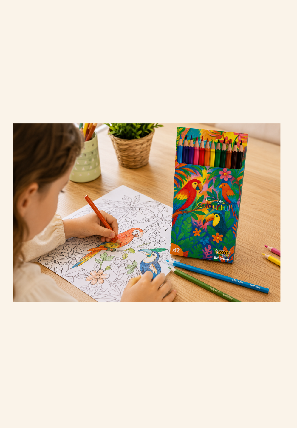 Set de coloriage BIC® Kids Evolution 12 crayons
