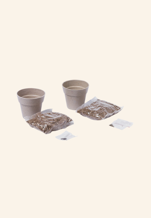 Set Pot de Fleurs Éloïsane