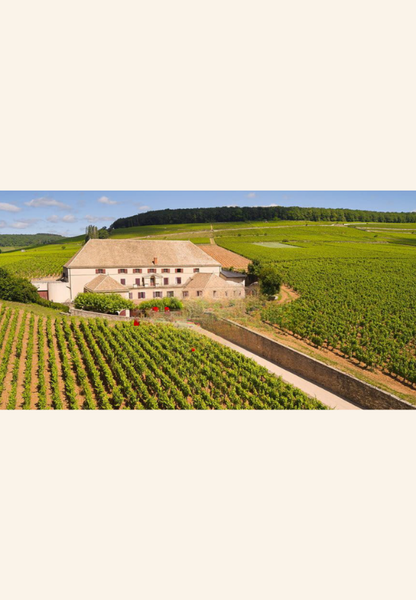 VALISETTE Cuvée Latour