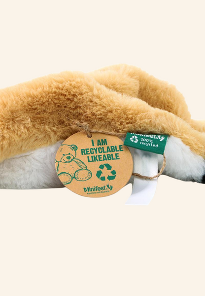 Peluche renard pour chien