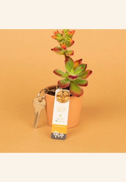 🛒 Jeton de caddie porte-clés Léna