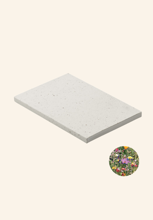 Carnet A5 en papier semence Théodore