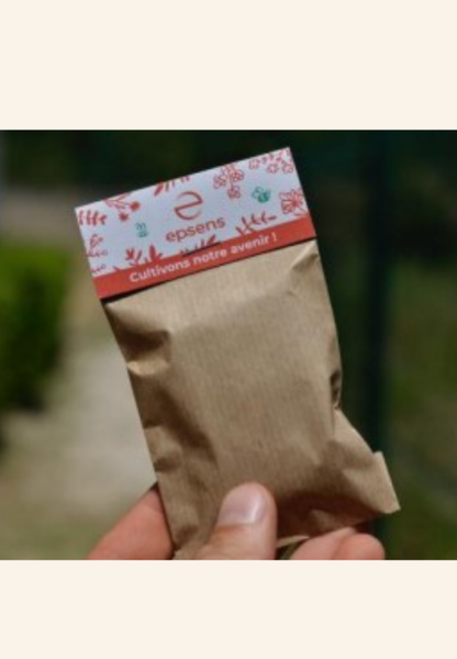 Sachet à Fleurs en papier kraft Éloisea
